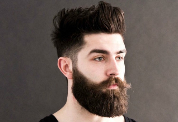 Garibaldi beard style